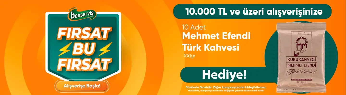 Mehmet Efendi