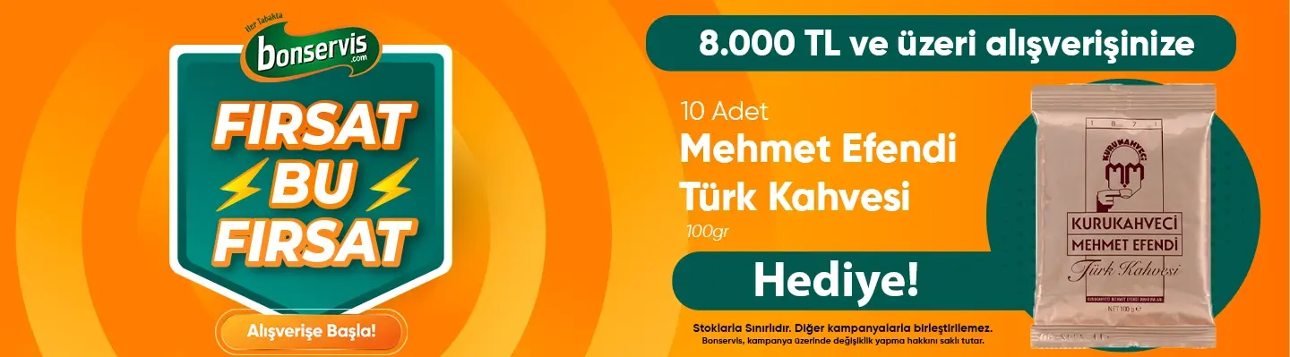 Mehmet Efendi