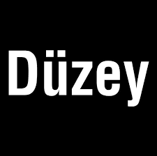 Düzey