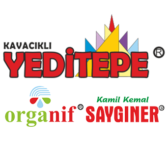Yeditepe