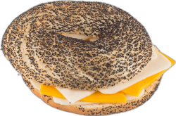 Bio Fresh Bagel Las Vegas Üç Peynirli - Bio Fresh