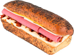 Bio Fresh Panini Dana Jambon Sandviç - Bio Fresh