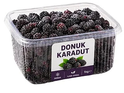 Cool Line Dondurulmuş Karadut Kase - 1