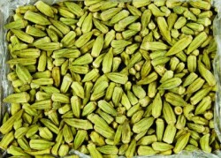 Fine Food Bamya Sivri (3/6) - Fine Food