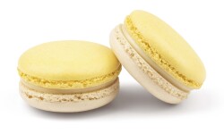 Hazz Makaron Muz - Hazz Makaron