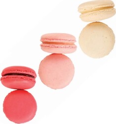 Hazz Makaron No:3 Çilek-Gül-Vanilya - Hazz Makaron