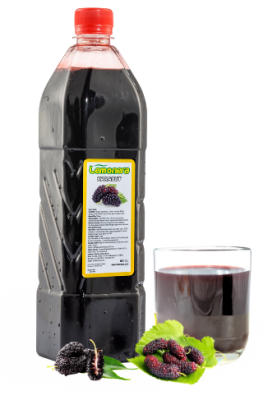 Lemonera Karadut Şurubu - 1