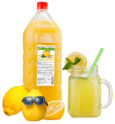 Lemonera Nane Zencefilli Limonata - Lemonera